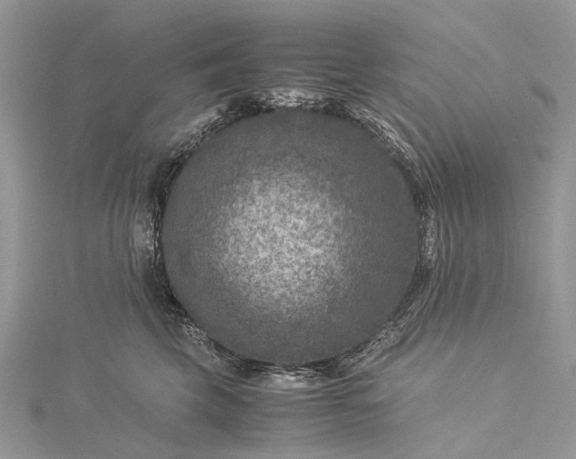 X0000115510569200911201641