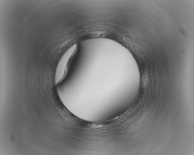 X0000115510570200911201641