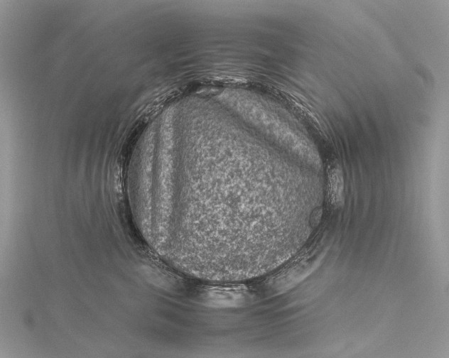 X0000115510571200911201641