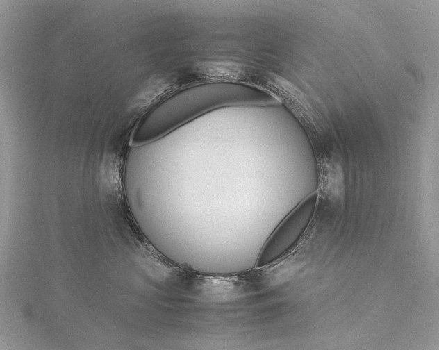 X0000115510573200911201641