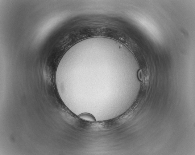 X0000115510574200911201641