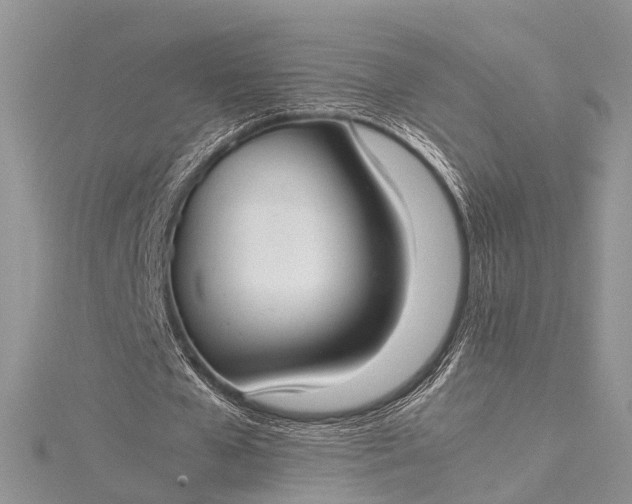 X0000115510577200911201640