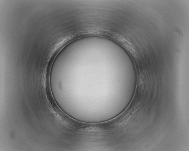 X0000115510578200911201640