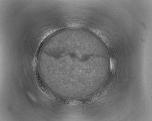 X0000115510579200911201640