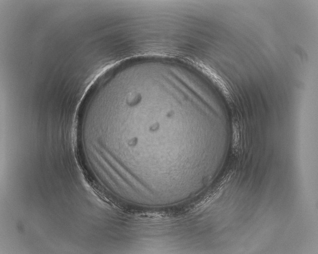 X0000115510580200911201640