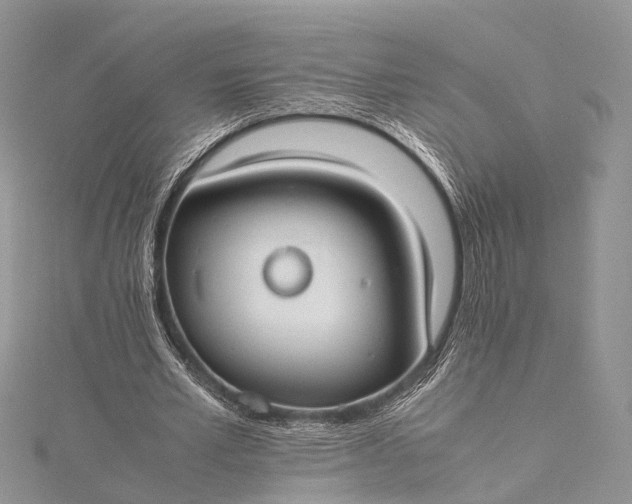 X0000115510581200911201640