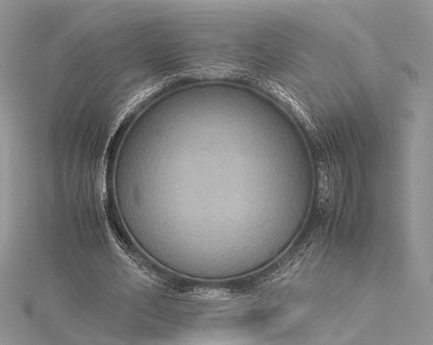 X0000115510582200911201640