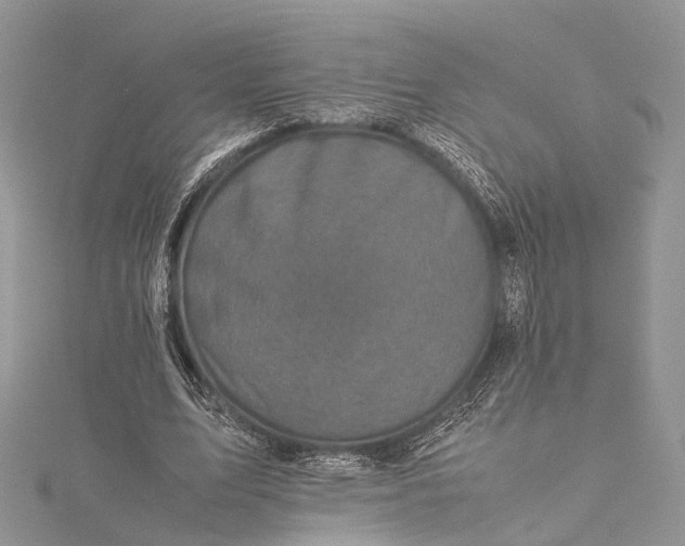 X0000115510583200911201640