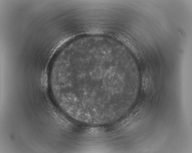 X0000115510584200911201640