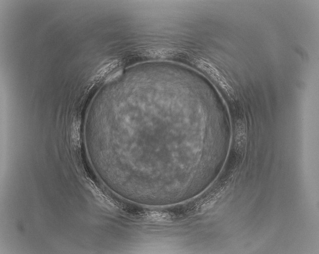 X0000115510585200911201640