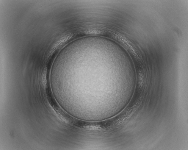 X0000115510586200911201640