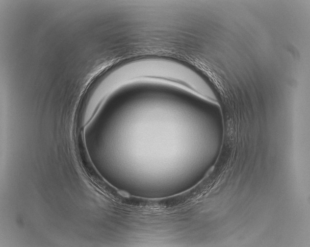 X0000115510587200911201640