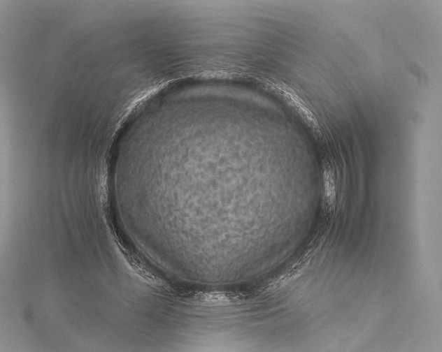 X0000115510588200911201640