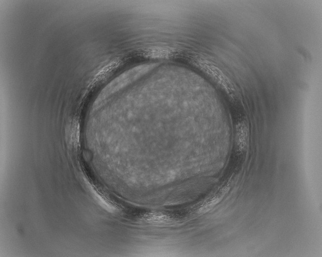 X0000115510589200911201640