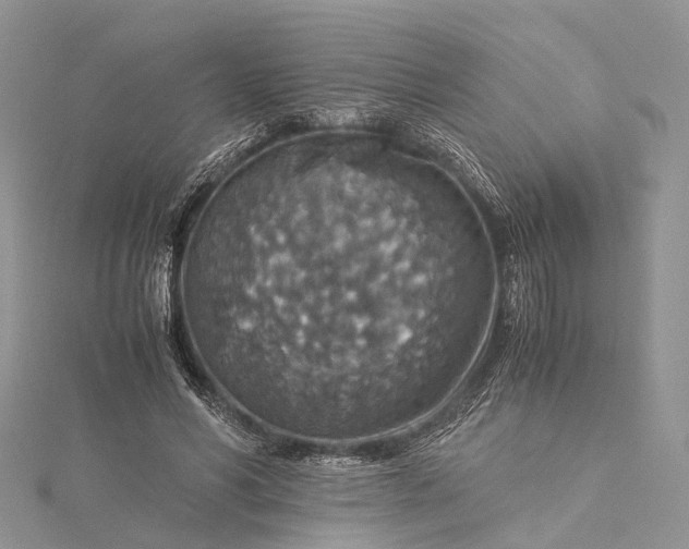 X0000115510590200911201640