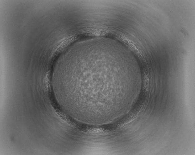 X0000115510594200911201640