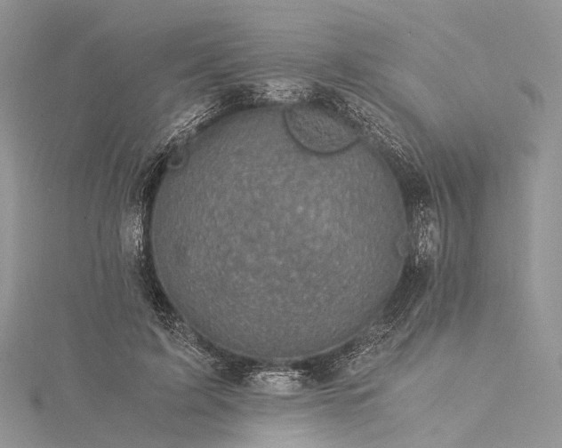 X0000115510595200911201640