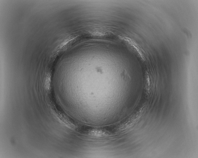 X0000115510596200911201640