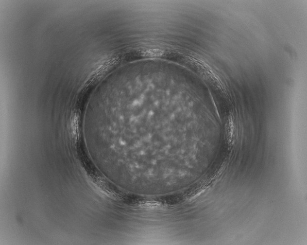 X0000115510598200911201640