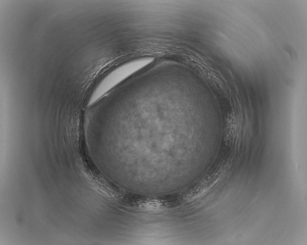 X0000115510600200911201640