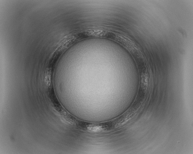 X0000115510602200911201640