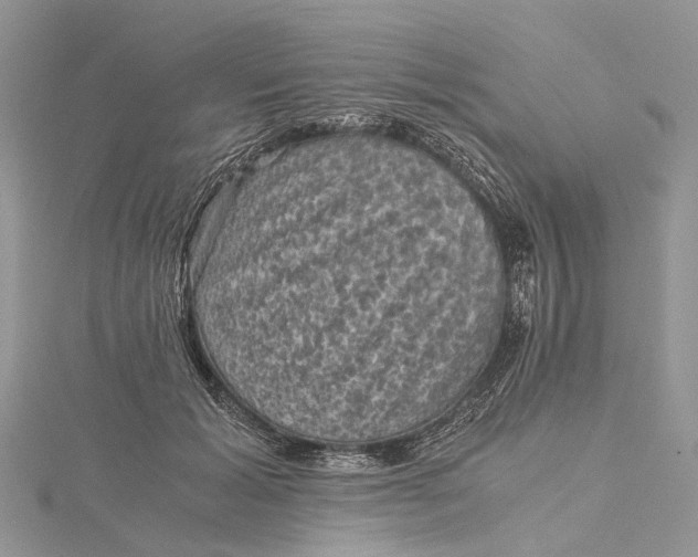 X0000115510605200911201640