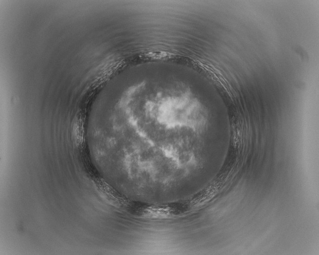 X0000115510606200911201640