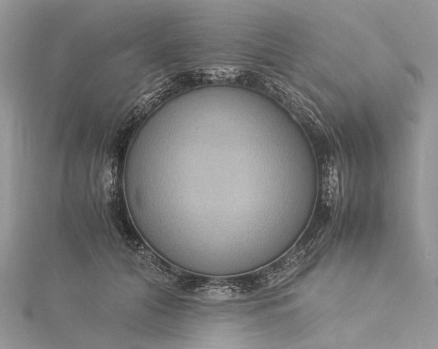 X0000115510608200911201640