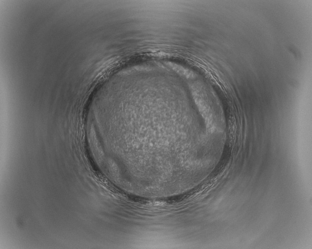 X0000115510609200911201640