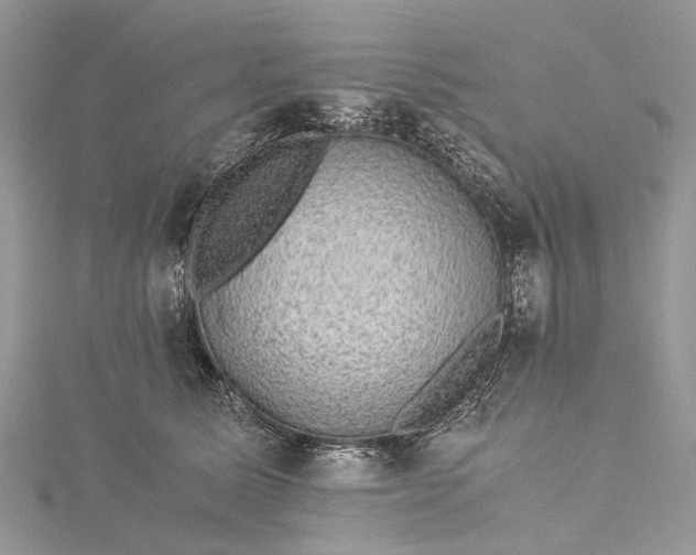 X0000115510611200911201640