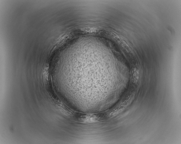 X0000115510612200911201640