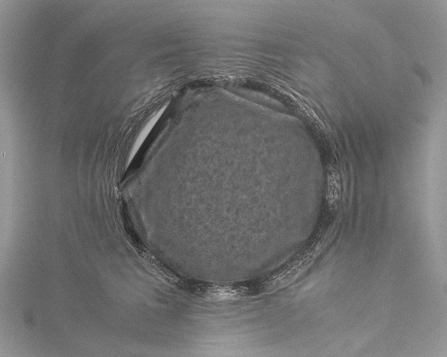 X0000115510613200911201640