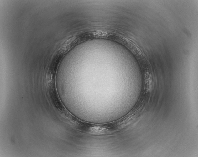 X0000115510614200911201640