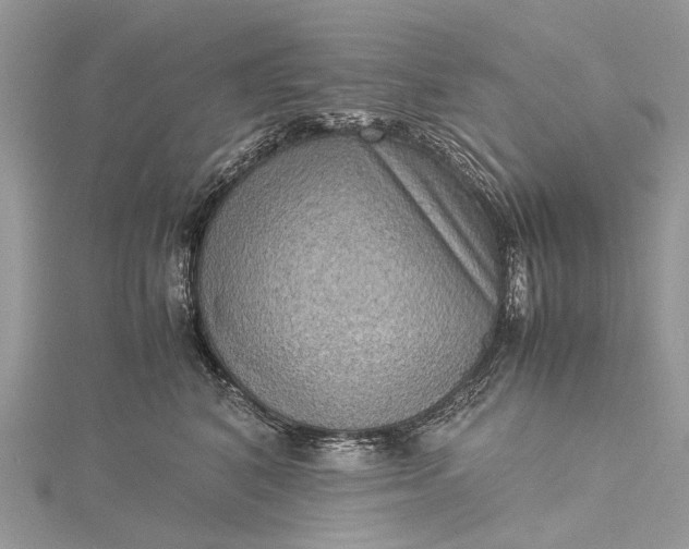 X0000115510616200911201640