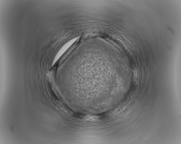 X0000115510617200911201640