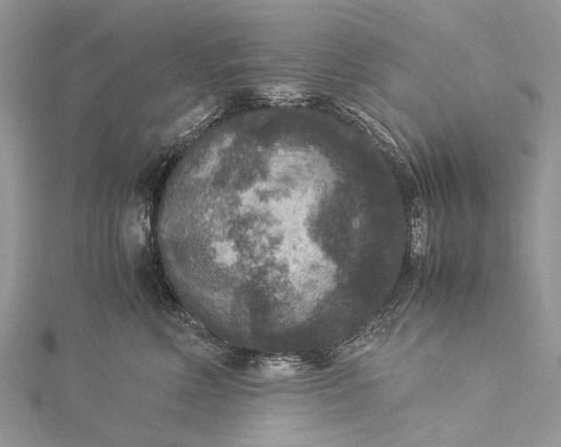 X0000115510618200911201640