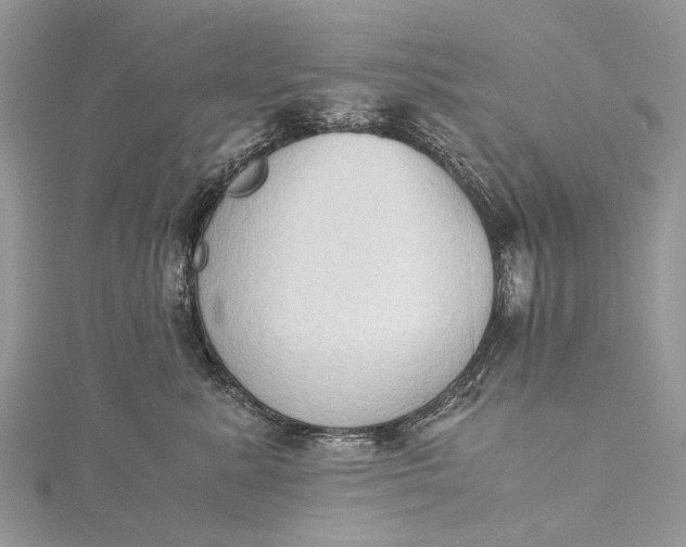 X0000115510619200911201640