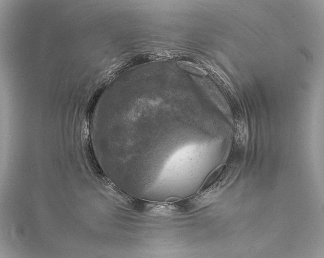 X0000115510621200911201640