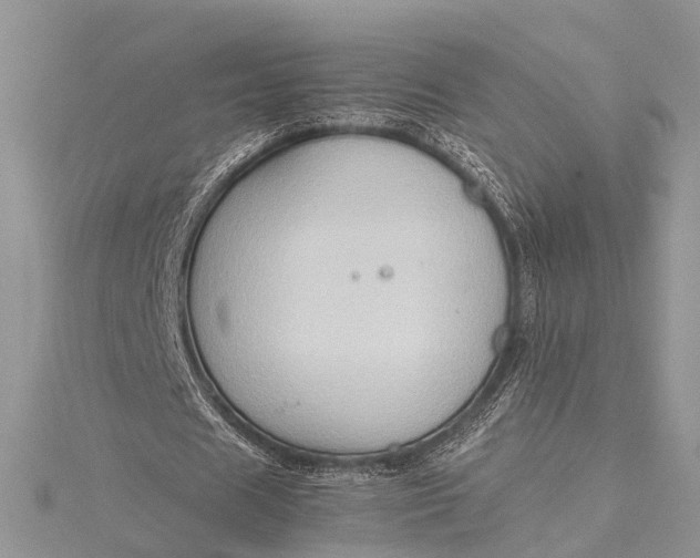 X0000115510625200911201639