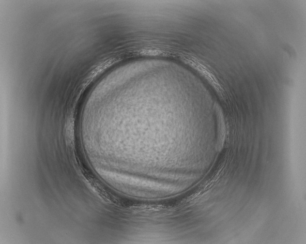 X0000115510626200911201639