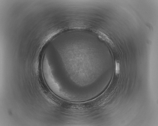 X0000115510627200911201639