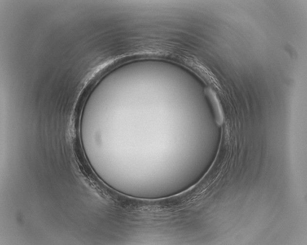 X0000115510628200911201639