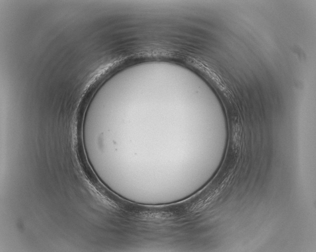 X0000115510629200911201639