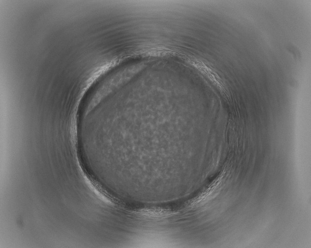 X0000115510630200911201639