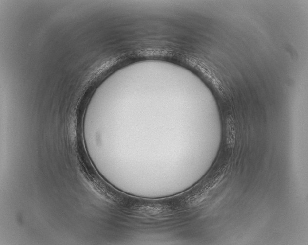 X0000115510631200911201639