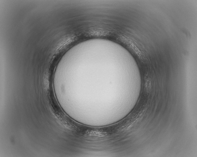 X0000115510635200911201639