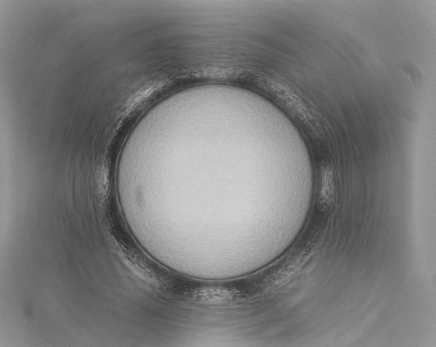 X0000115510636200911201639