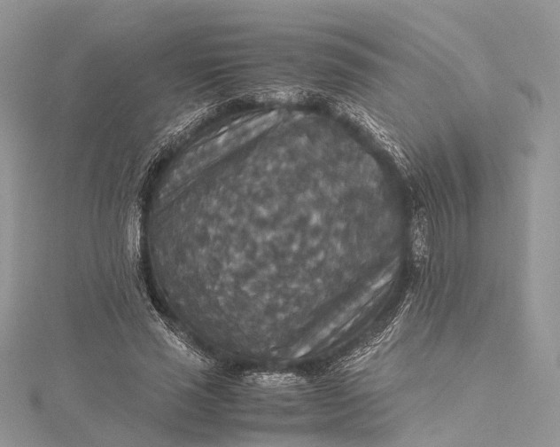 X0000115510637200911201639