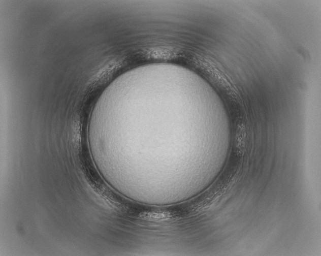 X0000115510639200911201639