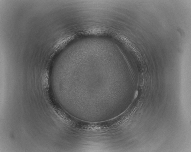 X0000115510640200911201639